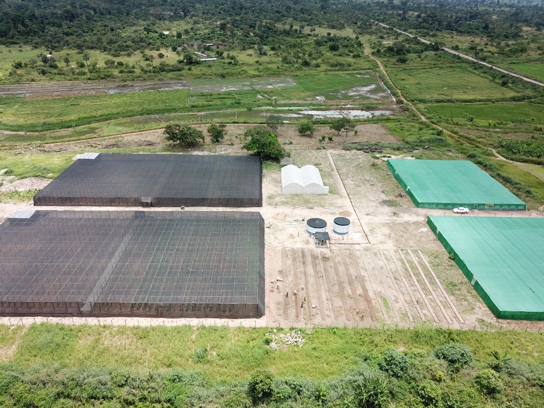 An aerial view of a nursery site: two large black shade-net houses, two green-net houses, water tanks and a small greenhouse, with farmland around.