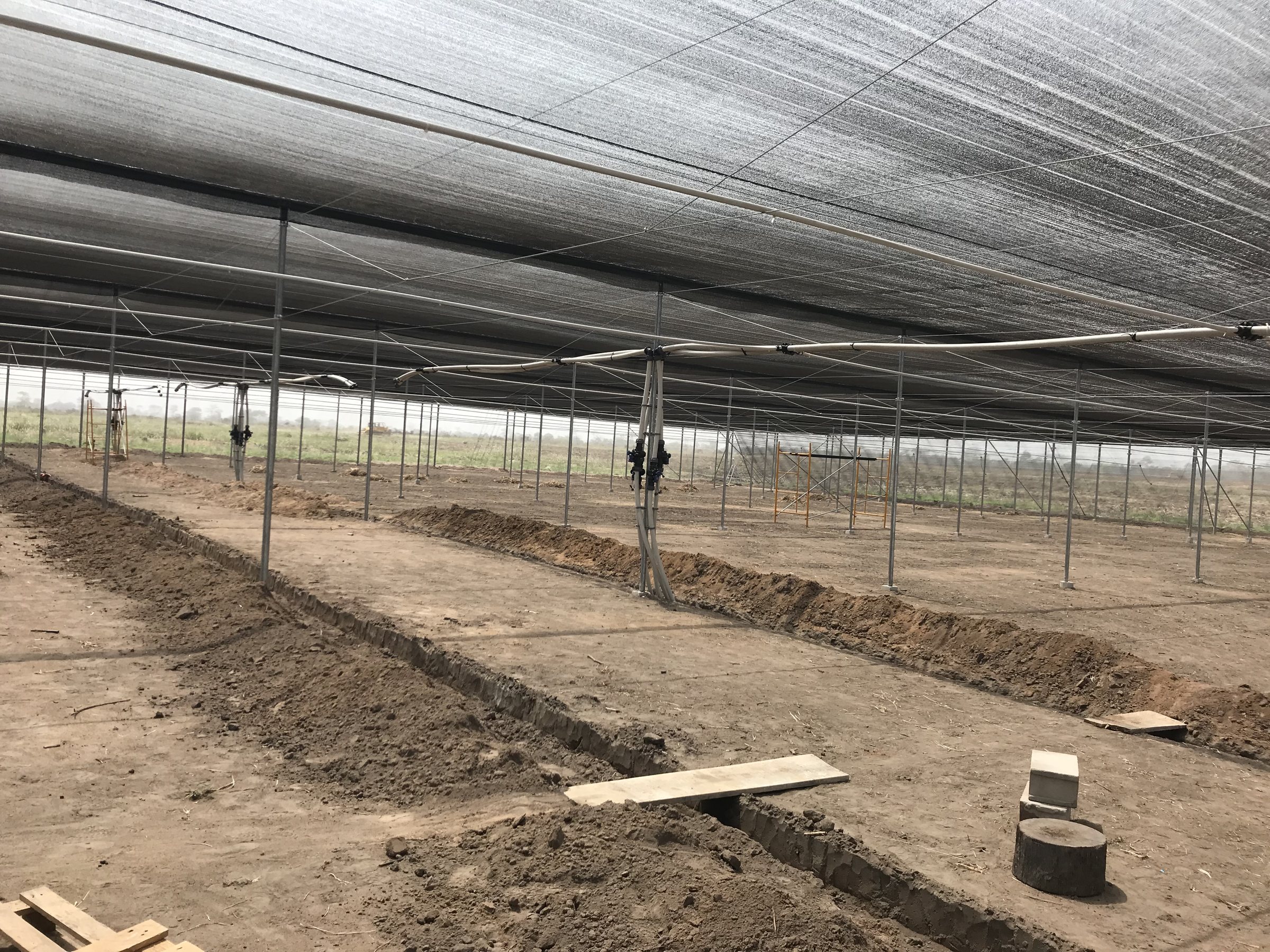 Inside a shade-net house under construction: steel posts and cables, net overhead, and trenches dug across the bare floor.