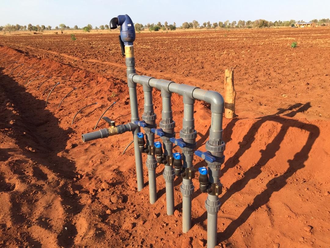 A PVC riser with five ball valves and an air valve, feeding drip laterals on freshly prepared red soil.